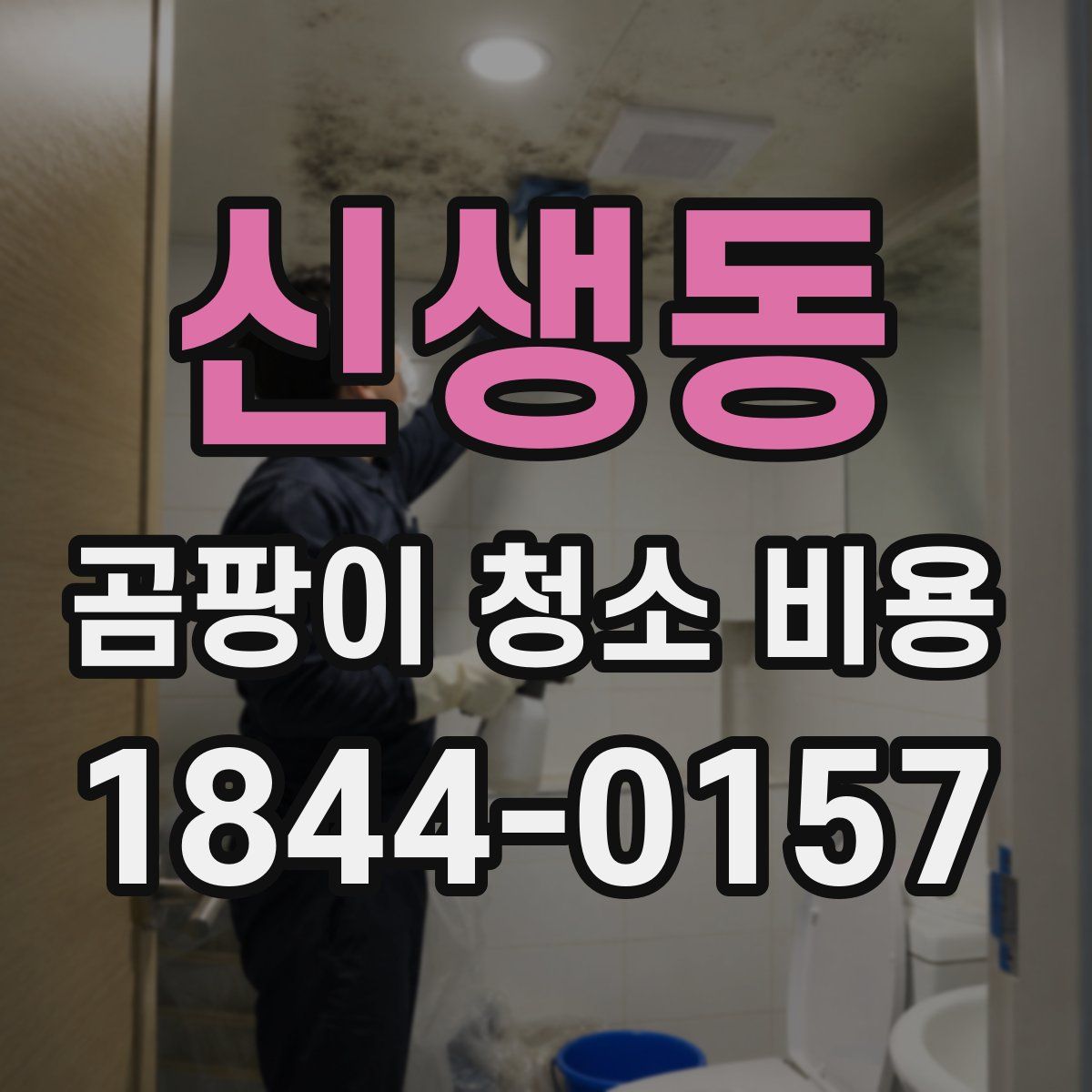 신생동 곰팡이 청소 비용