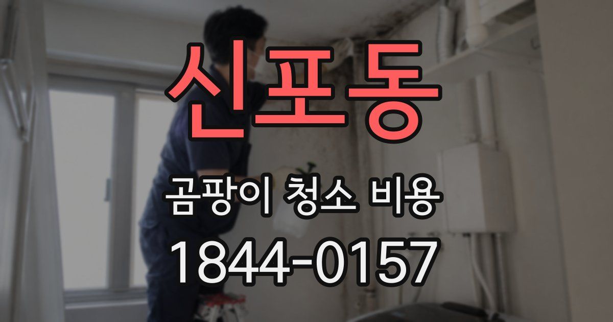신포동 곰팡이 청소 비용