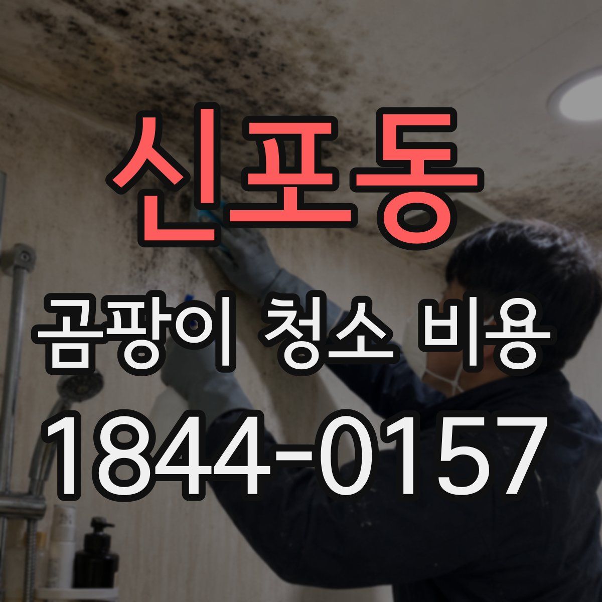 신포동 곰팡이 청소 비용