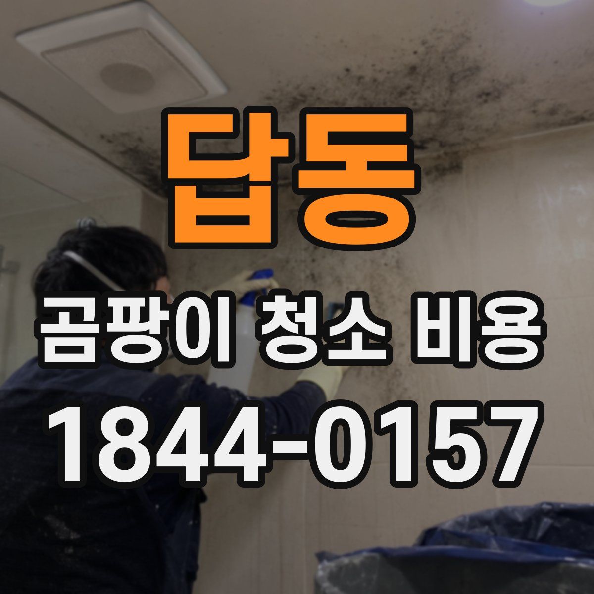답동 곰팡이 청소 비용