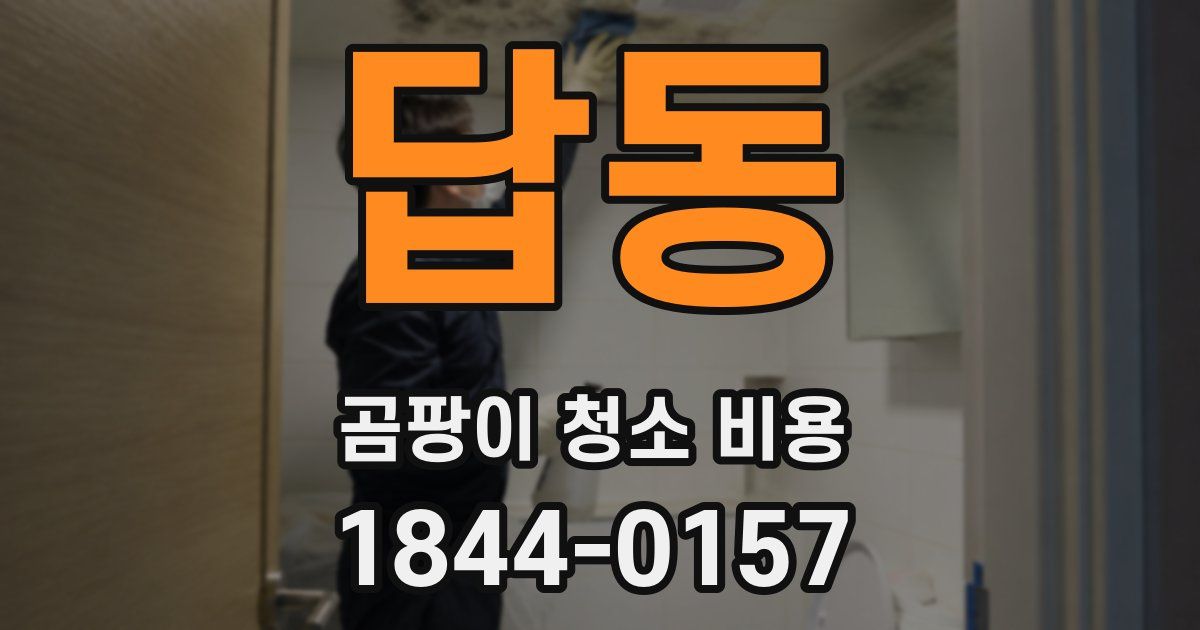답동 곰팡이 청소 비용