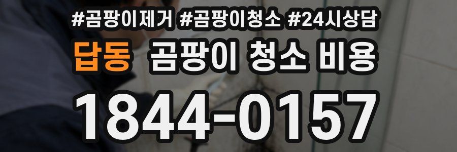 답동 곰팡이 청소 비용