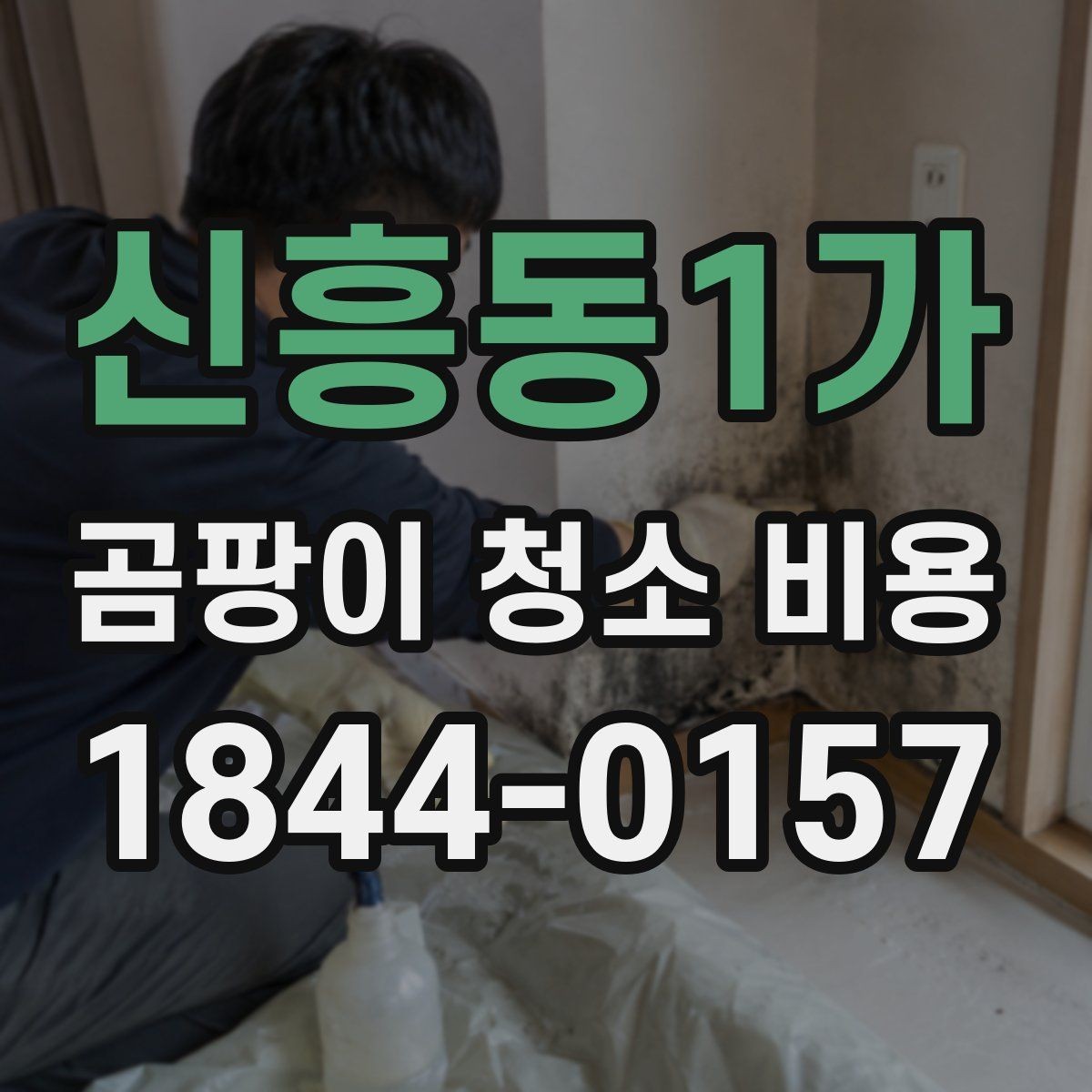 신흥동1가 곰팡이 청소 비용 집안 습기 원인까지 함께 확인하는 이유