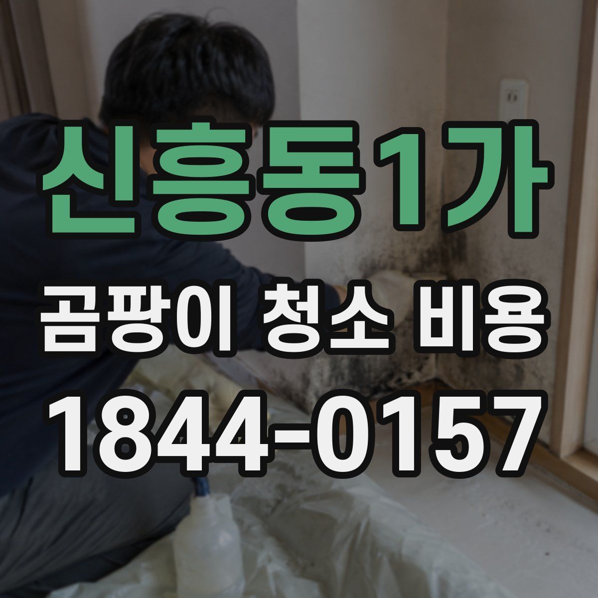 신흥동1가 곰팡이 청소 비용