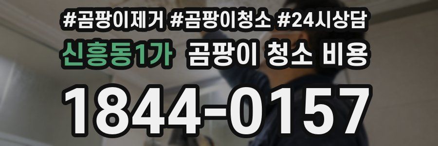 신흥동1가 곰팡이 청소 비용