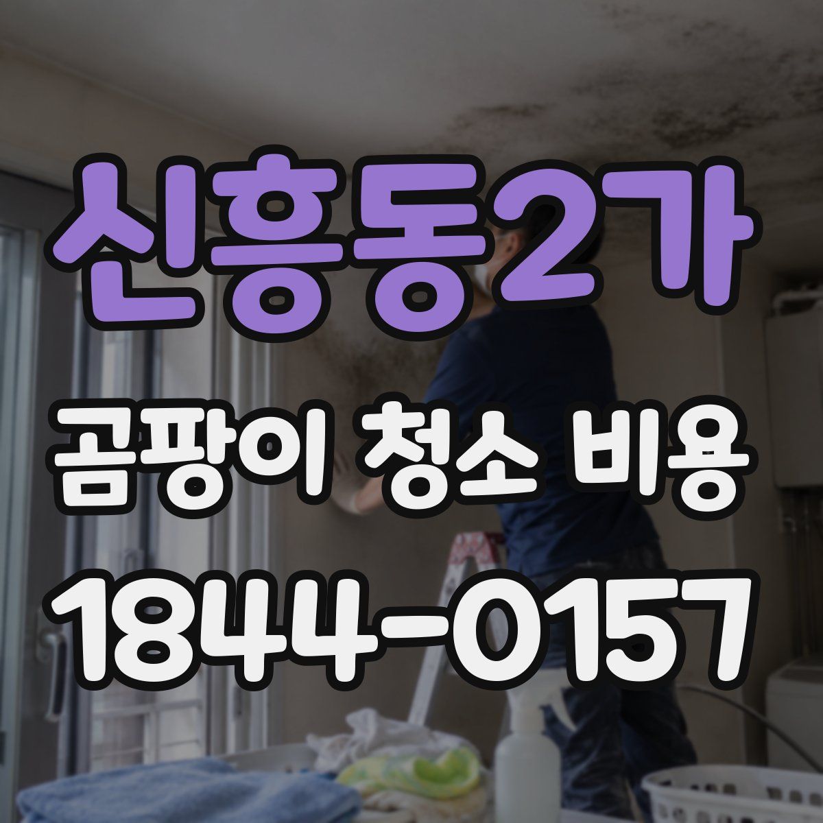 신흥동2가 곰팡이 청소 비용