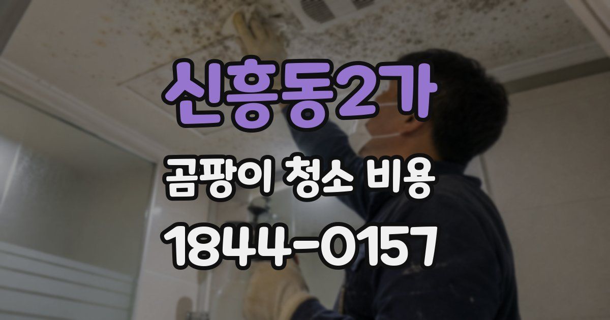 신흥동2가 곰팡이 청소 비용