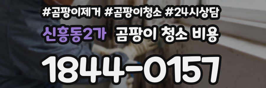 신흥동2가 곰팡이 청소 비용