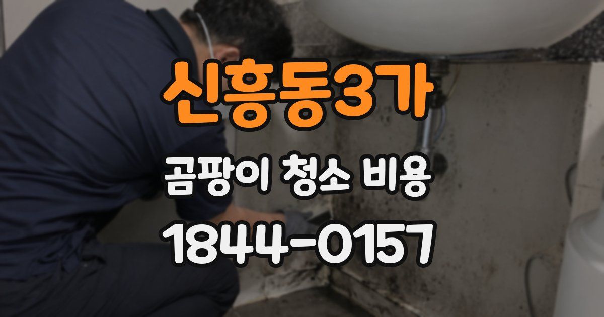 신흥동3가 곰팡이 청소 비용