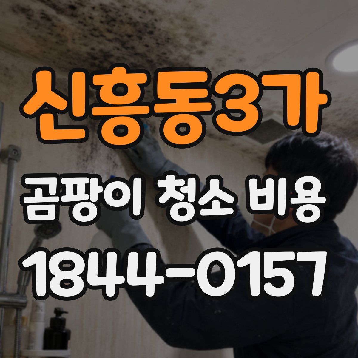 신흥동3가 곰팡이 청소 비용