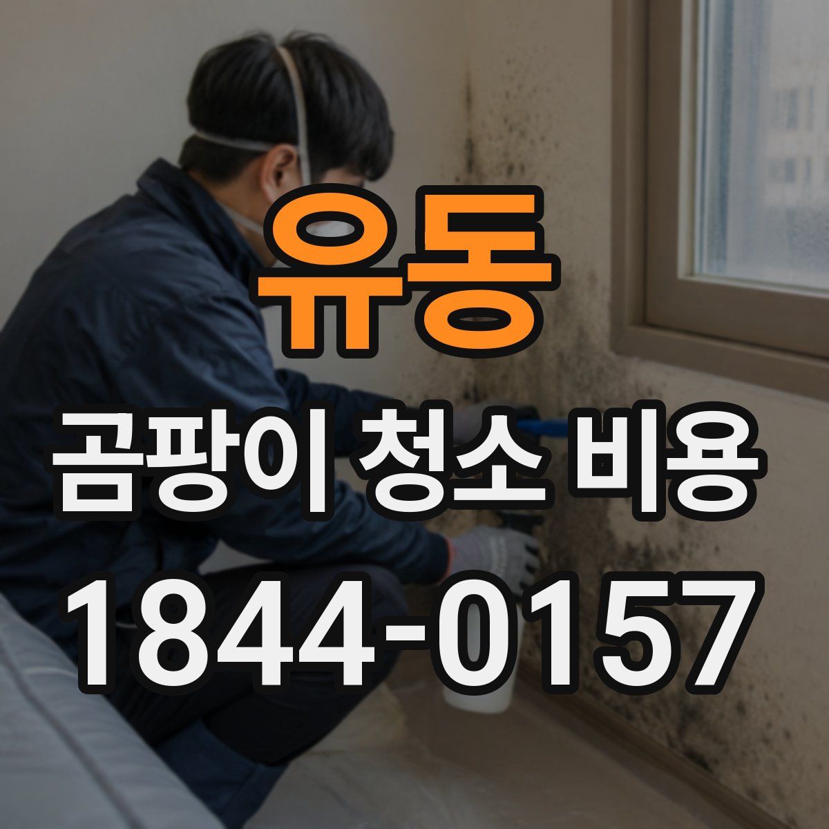 유동 곰팡이 청소 비용
