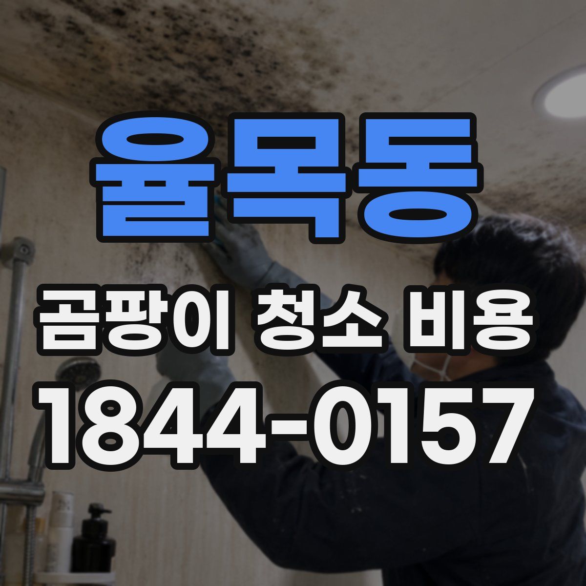 율목동 곰팡이 청소 비용