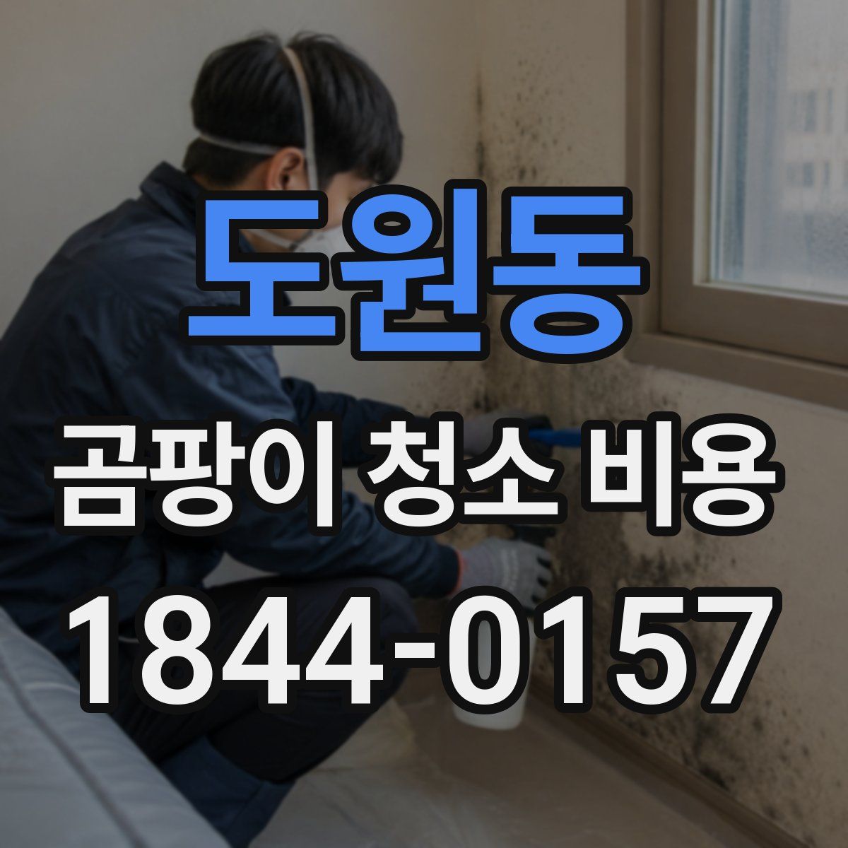 도원동 곰팡이 청소 비용