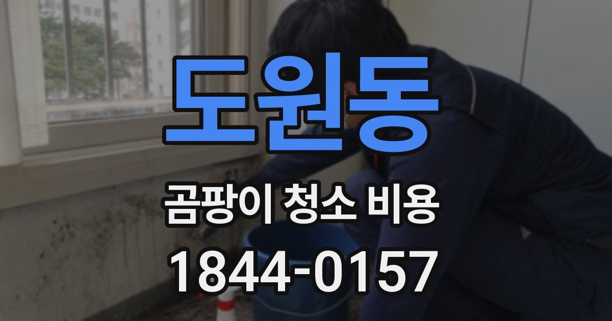 도원동 곰팡이 청소 비용