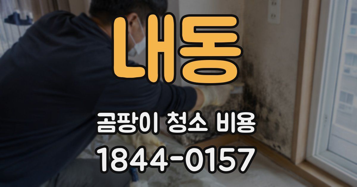 내동 곰팡이 청소 비용