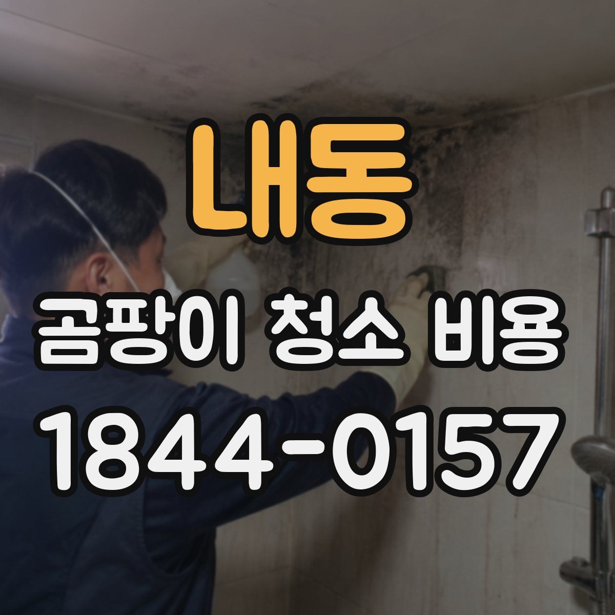 내동 곰팡이 청소 비용