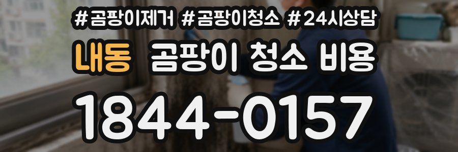 내동 곰팡이 청소 비용