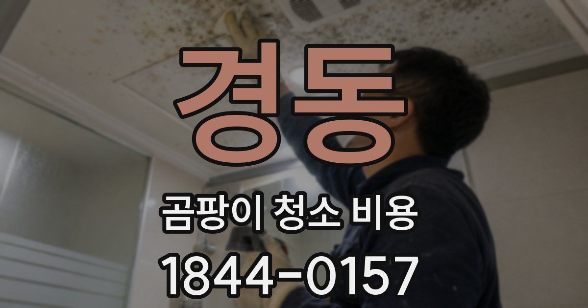 경동 곰팡이 청소 비용