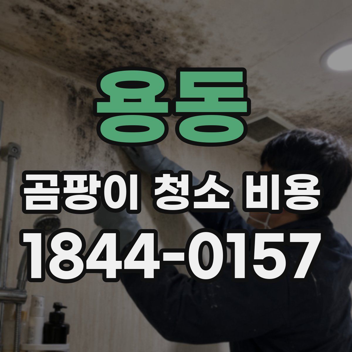 용동 곰팡이 청소 비용