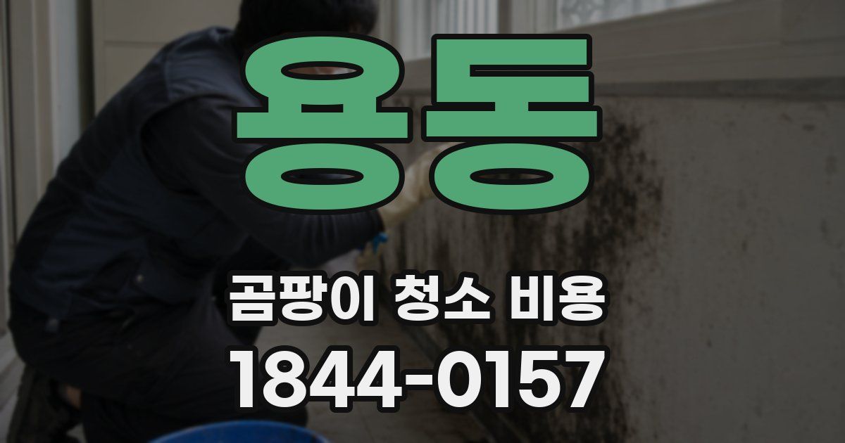 용동 곰팡이 청소 비용