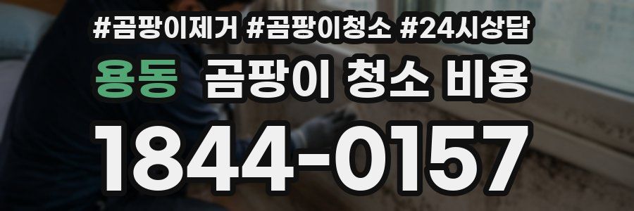 용동 곰팡이 청소 비용
