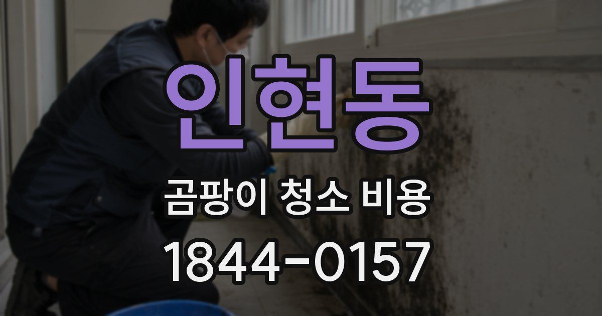 인현동 곰팡이 청소 비용