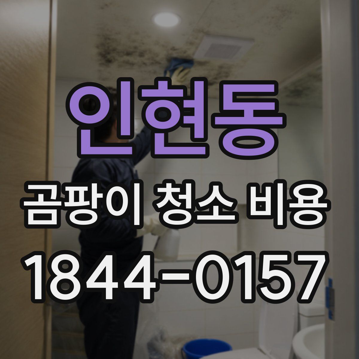 인현동 곰팡이 청소 비용