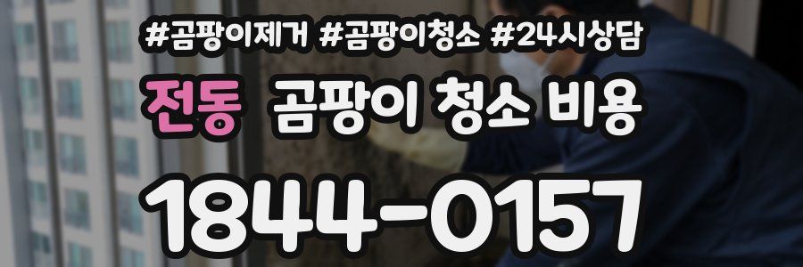 전동 곰팡이 청소 비용