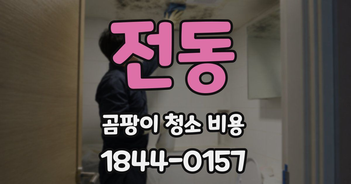 전동 곰팡이 청소 비용