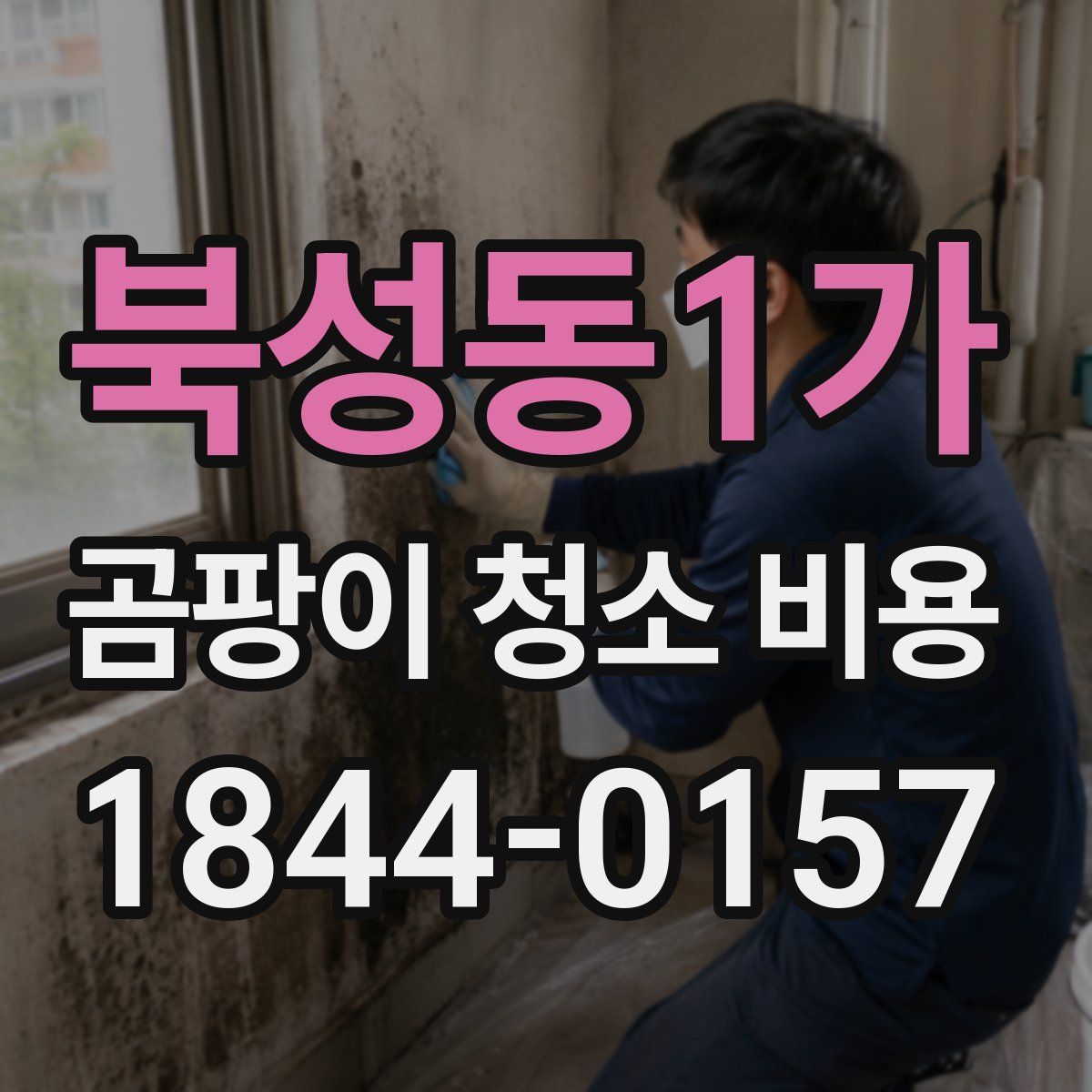 북성동1가 곰팡이 청소 비용