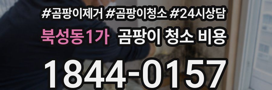 북성동1가 곰팡이 청소 비용