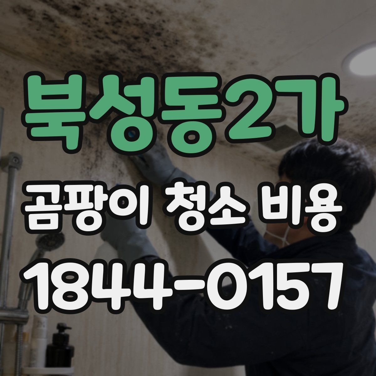 북성동2가 곰팡이 청소 비용 상담 전에 확인하면 좋은 작업 범위