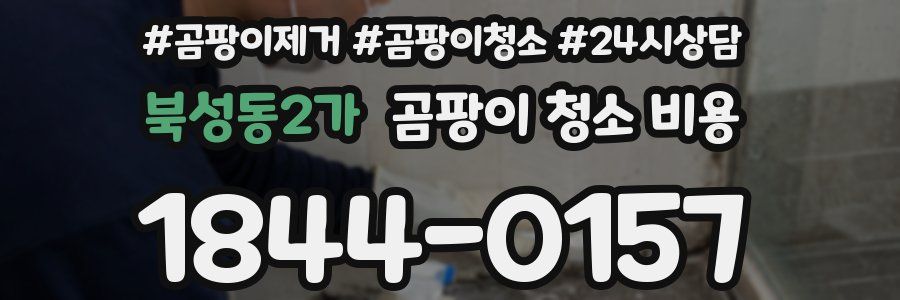 북성동2가 곰팡이 청소 비용