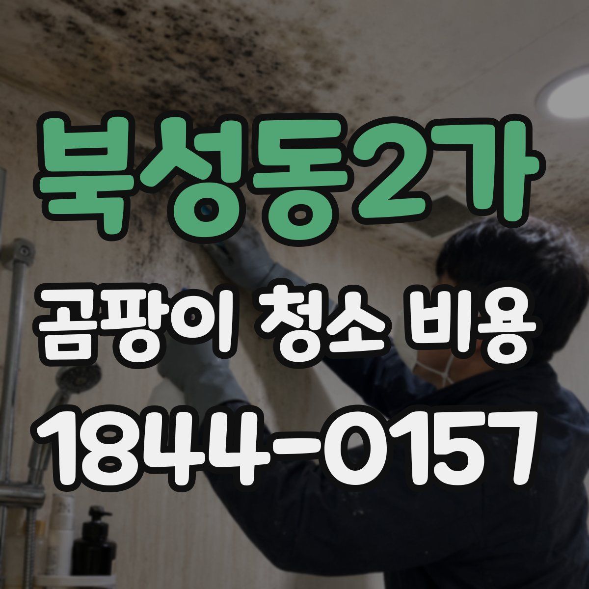 북성동2가 곰팡이 청소 비용