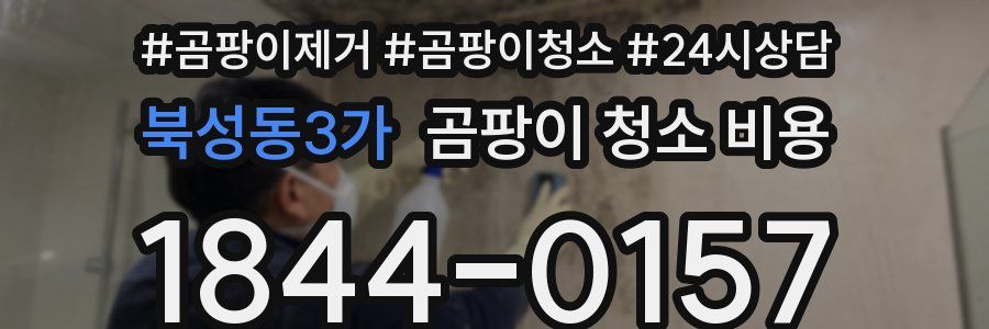 북성동3가 곰팡이 청소 비용