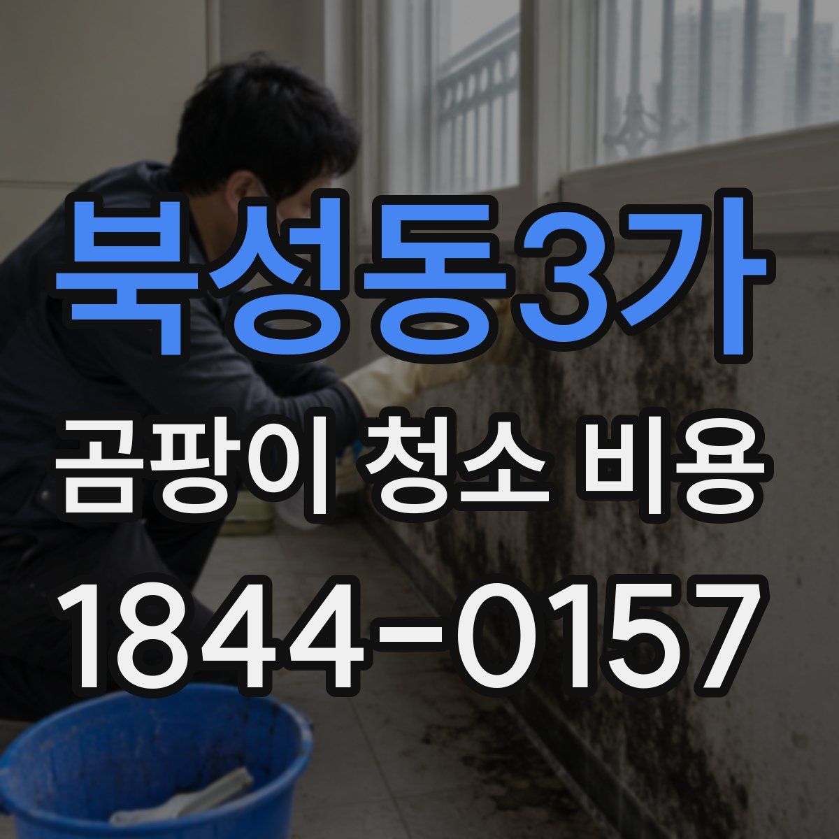 북성동3가 곰팡이 청소 비용