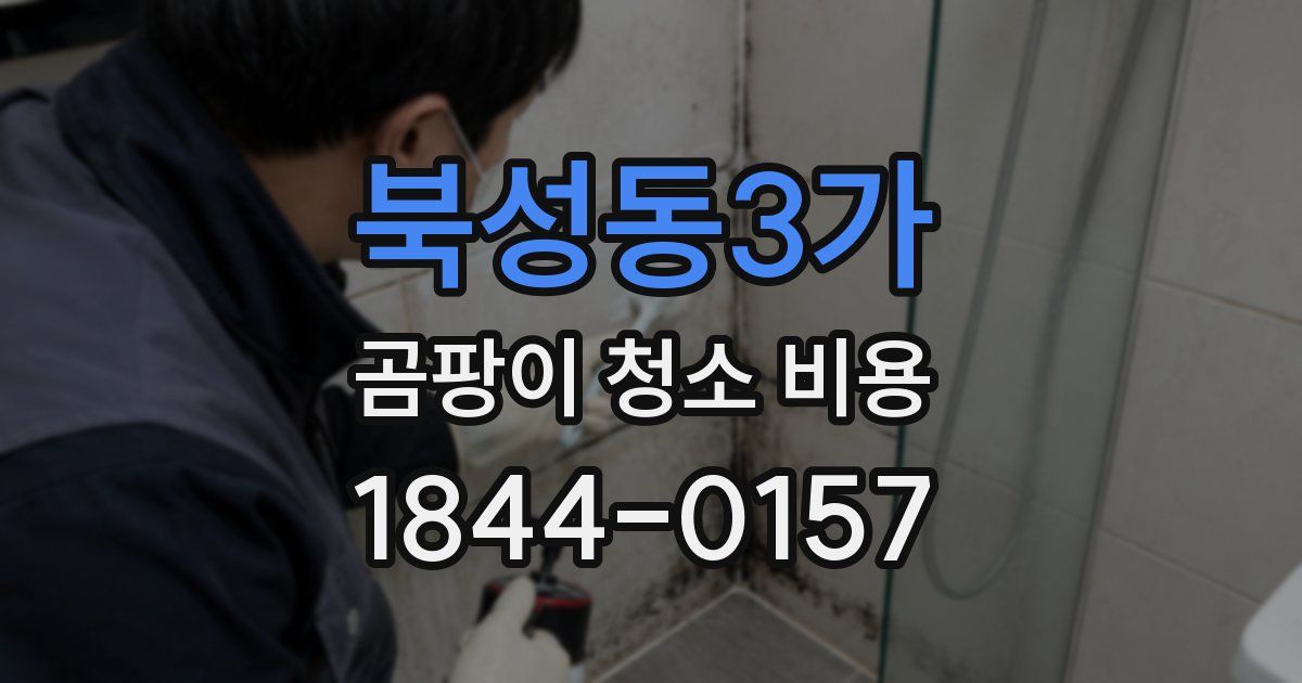 북성동3가 곰팡이 청소 비용
