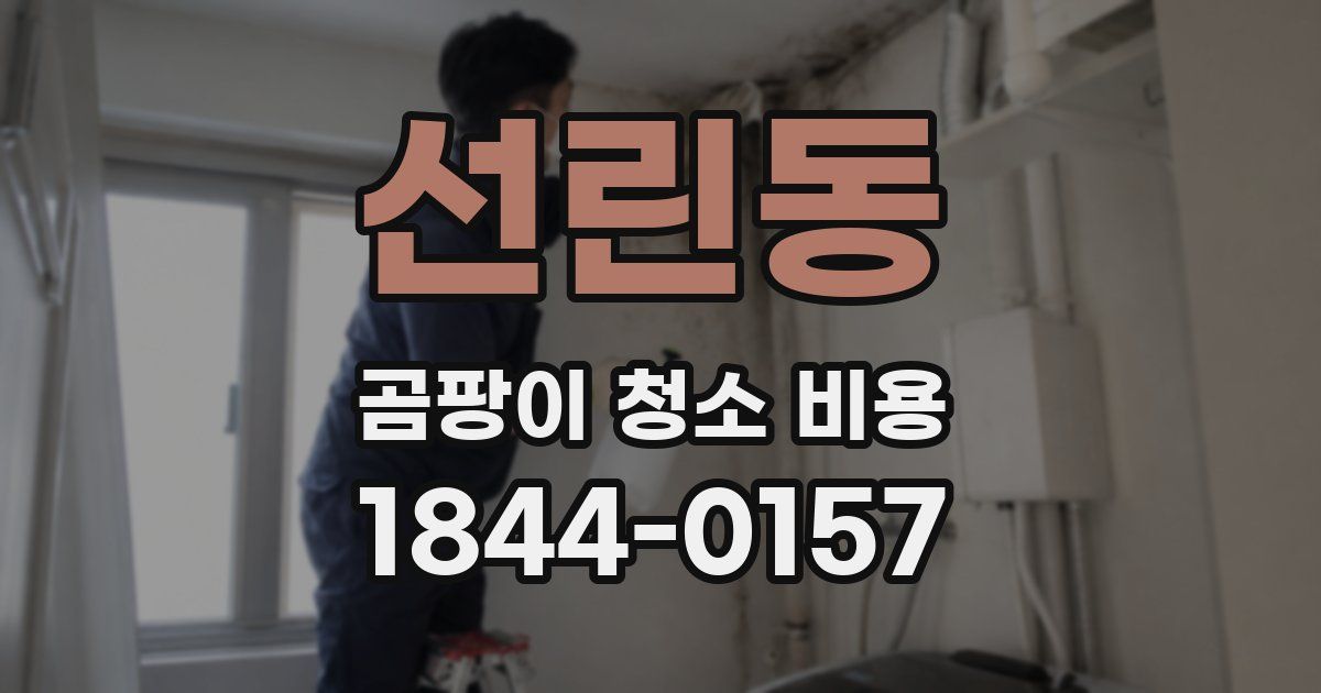 선린동 곰팡이 청소 비용