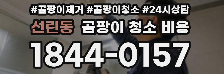 선린동 곰팡이 청소 비용