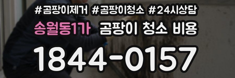 송월동1가 곰팡이 청소 비용