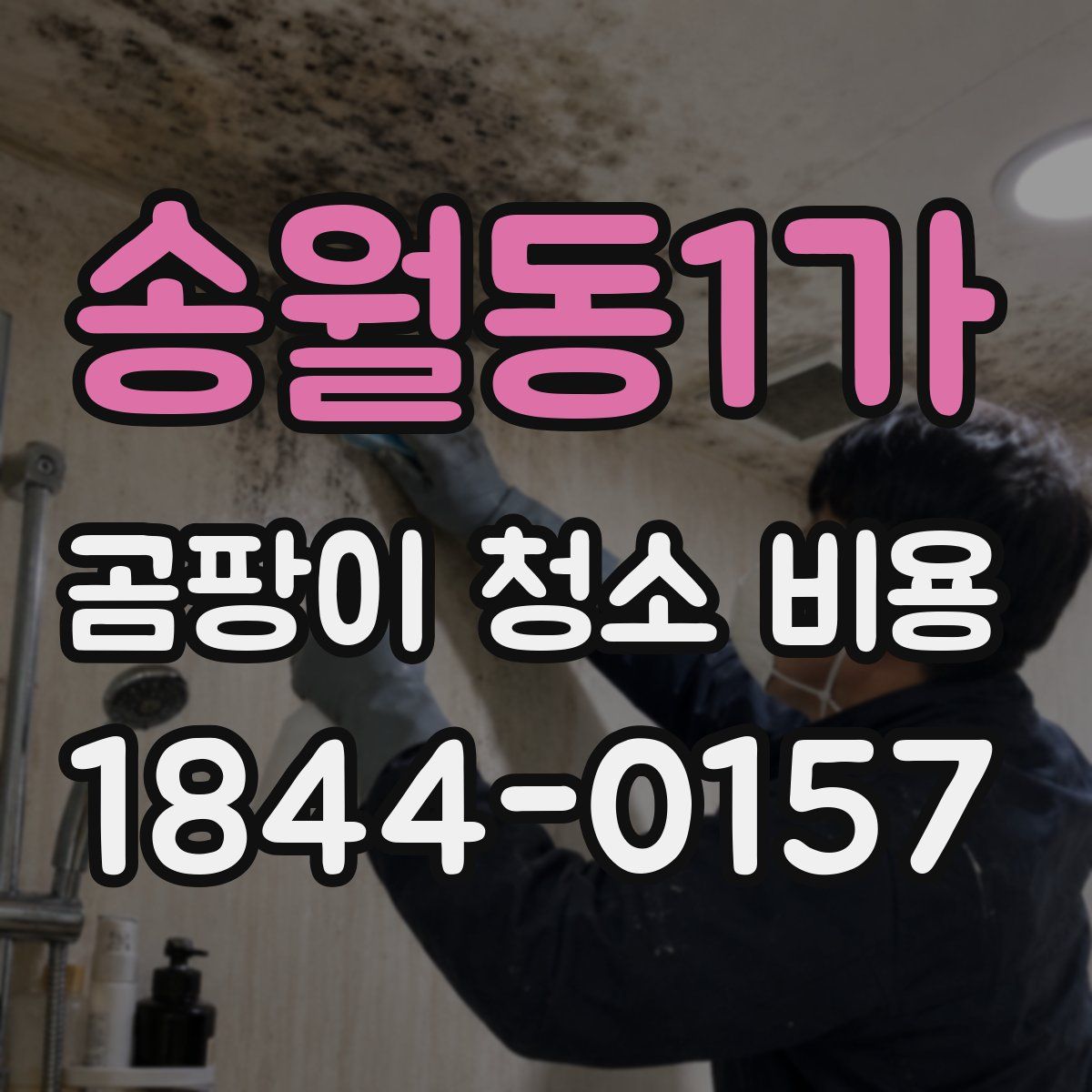 송월동1가 곰팡이 청소 비용
