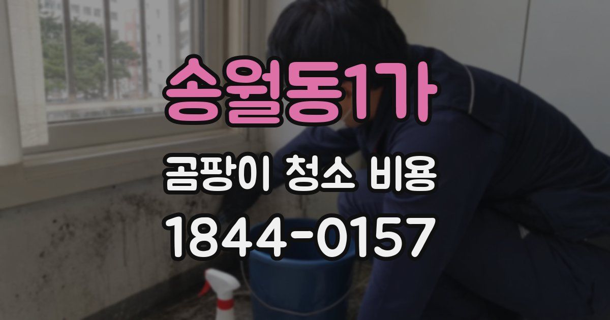 송월동1가 곰팡이 청소 비용