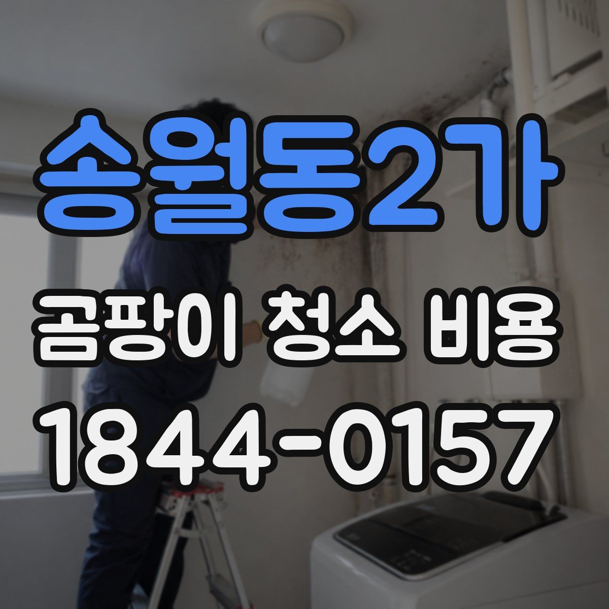 송월동2가 곰팡이 청소 비용