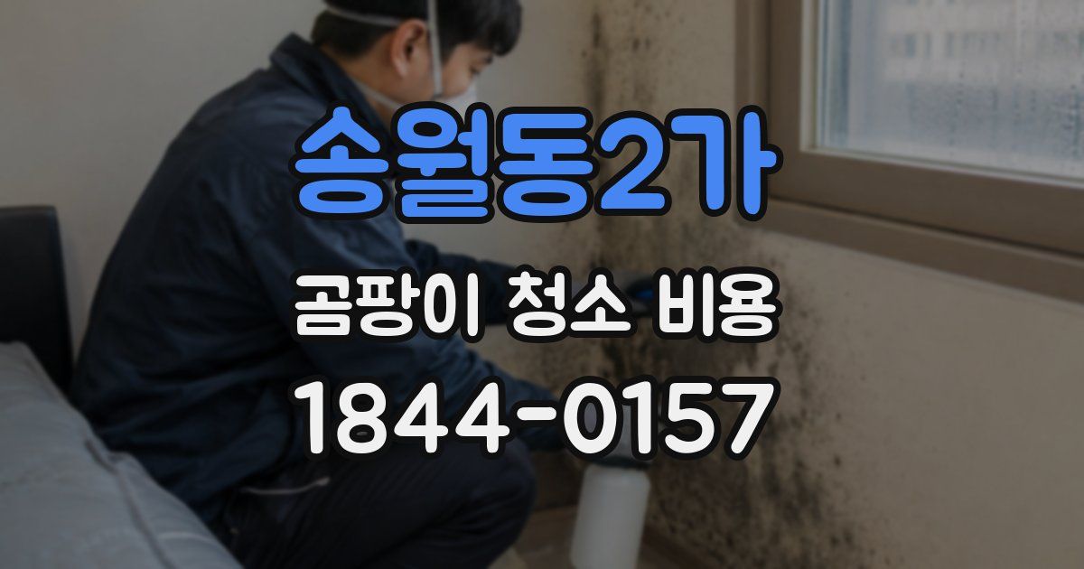 송월동2가 곰팡이 청소 비용