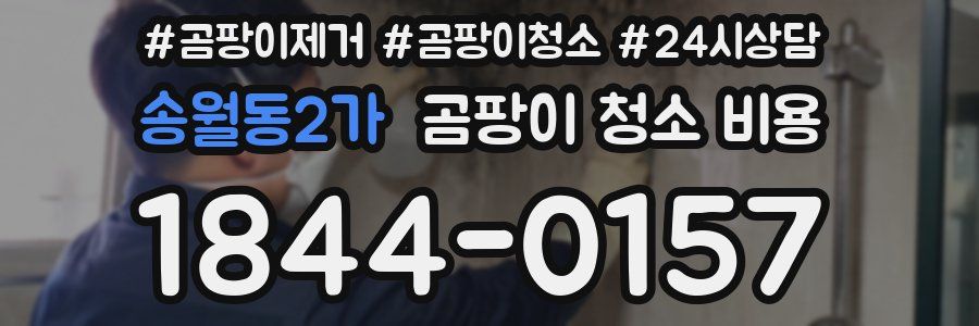 송월동2가 곰팡이 청소 비용