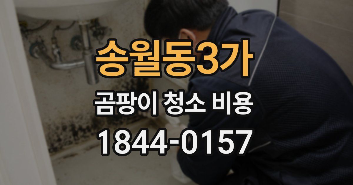 송월동3가 곰팡이 청소 비용
