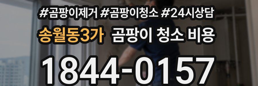 송월동3가 곰팡이 청소 비용