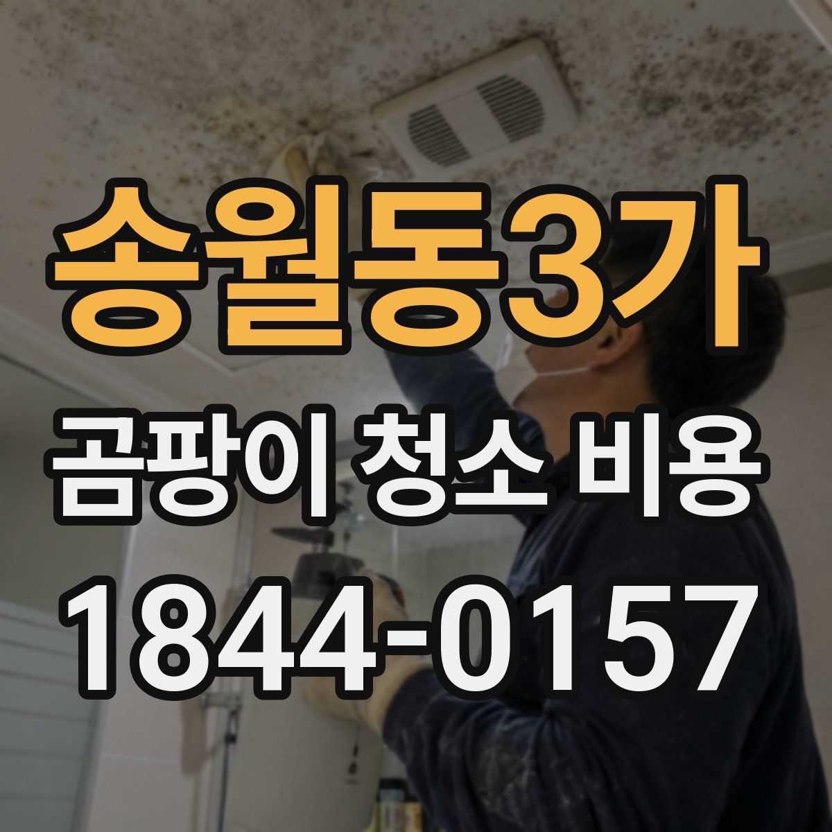 송월동3가 곰팡이 청소 비용