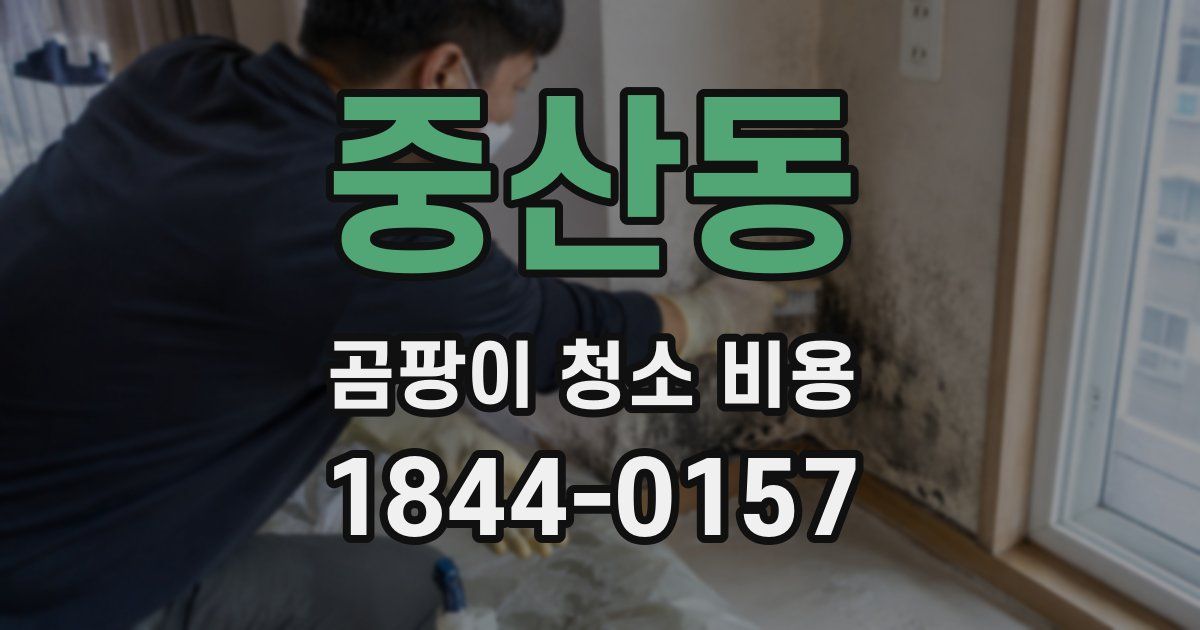중산동 곰팡이 청소 비용