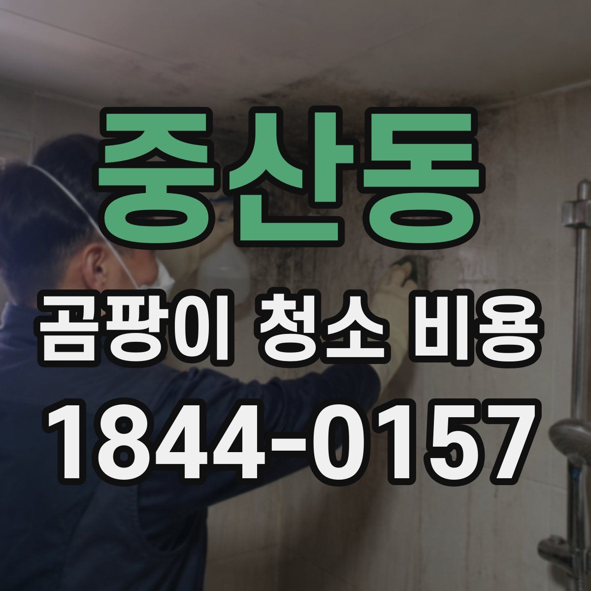중산동 곰팡이 청소 비용